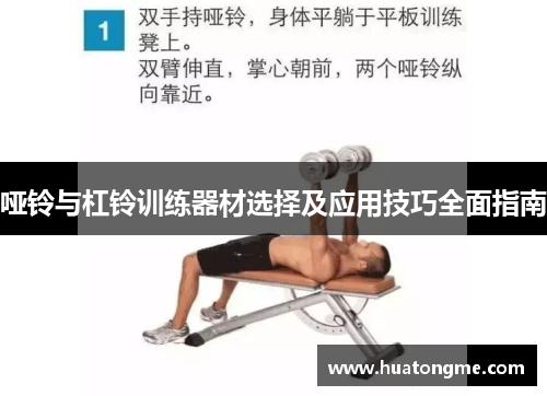 哑铃与杠铃训练器材选择及应用技巧全面指南