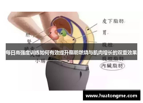 每日高强度训练如何有效提升脂肪燃烧与肌肉增长的双重效果