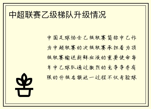 中超联赛乙级梯队升级情况