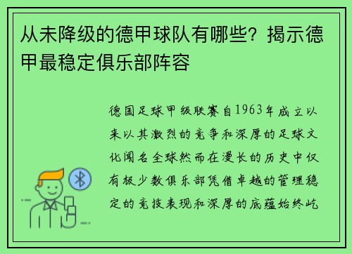 从未降级的德甲球队有哪些？揭示德甲最稳定俱乐部阵容